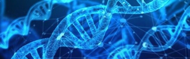 DNA εναντίον Φαλμεράυερ